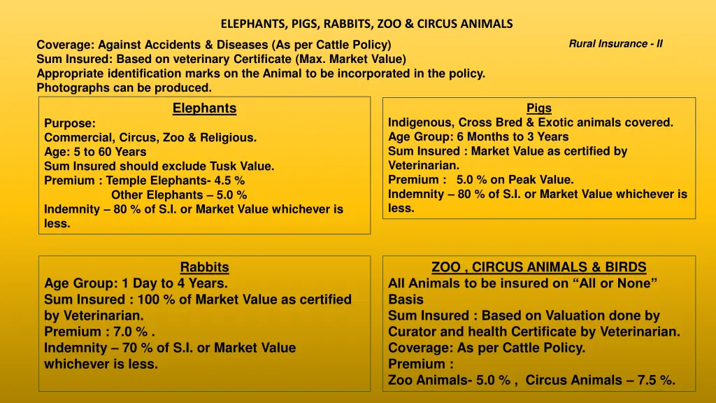 elephants pigs rabbits zoo circus animals