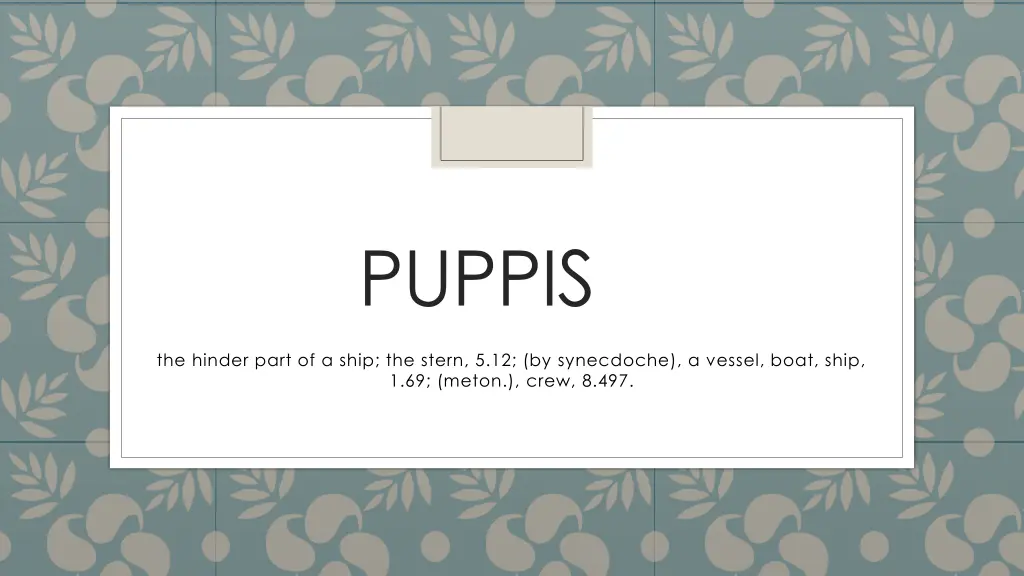 puppis
