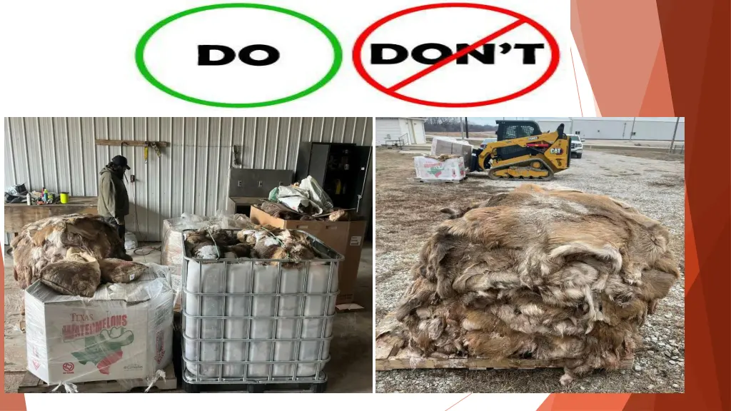 slide10