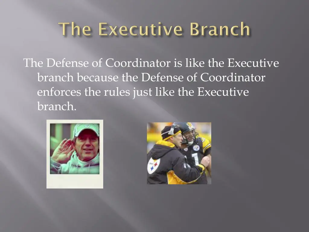 the defense of coordinator is like the executive