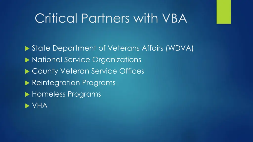 critical partners with vba