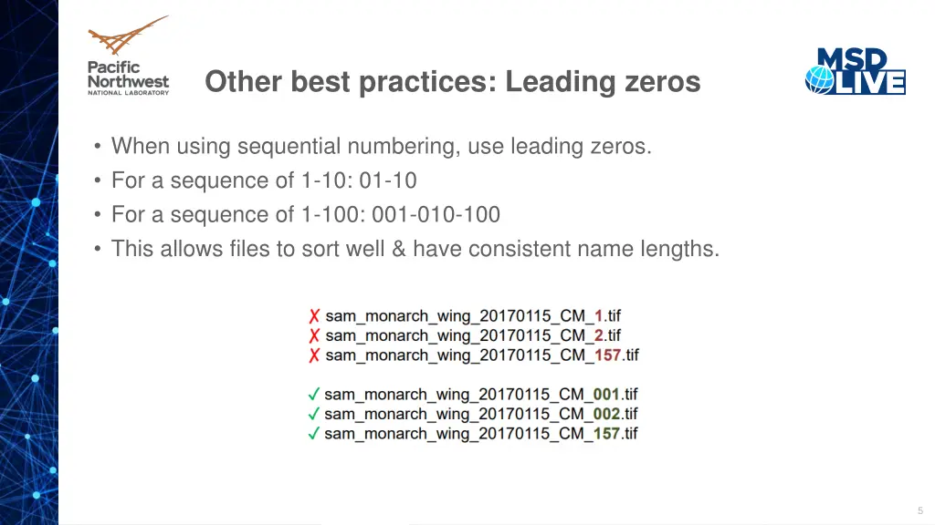 other best practices leading zeros