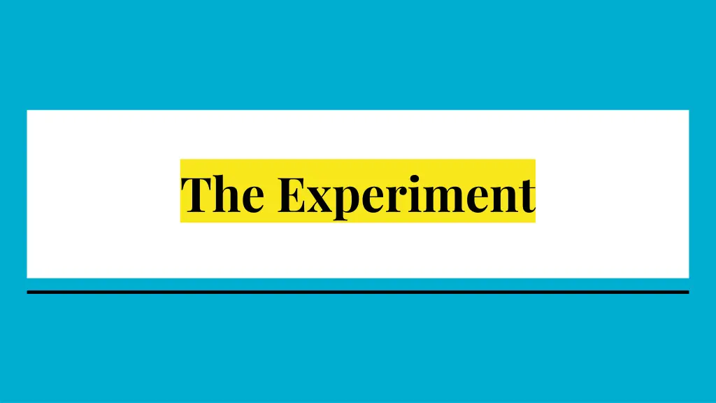 the experiment
