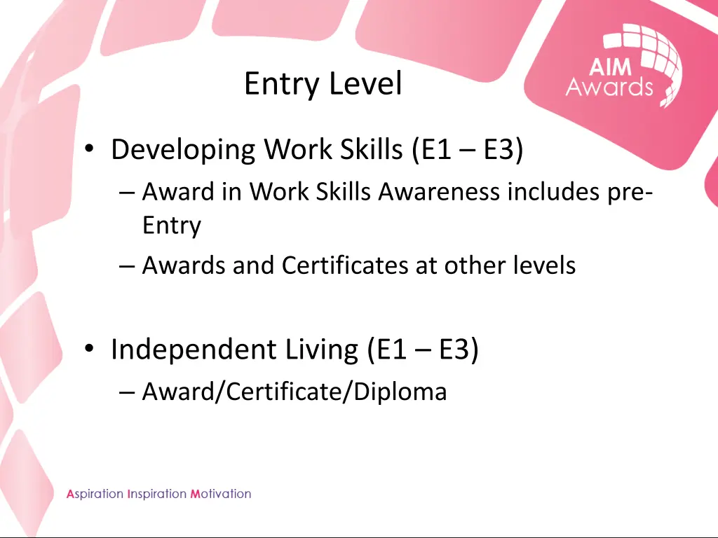 entry level 1