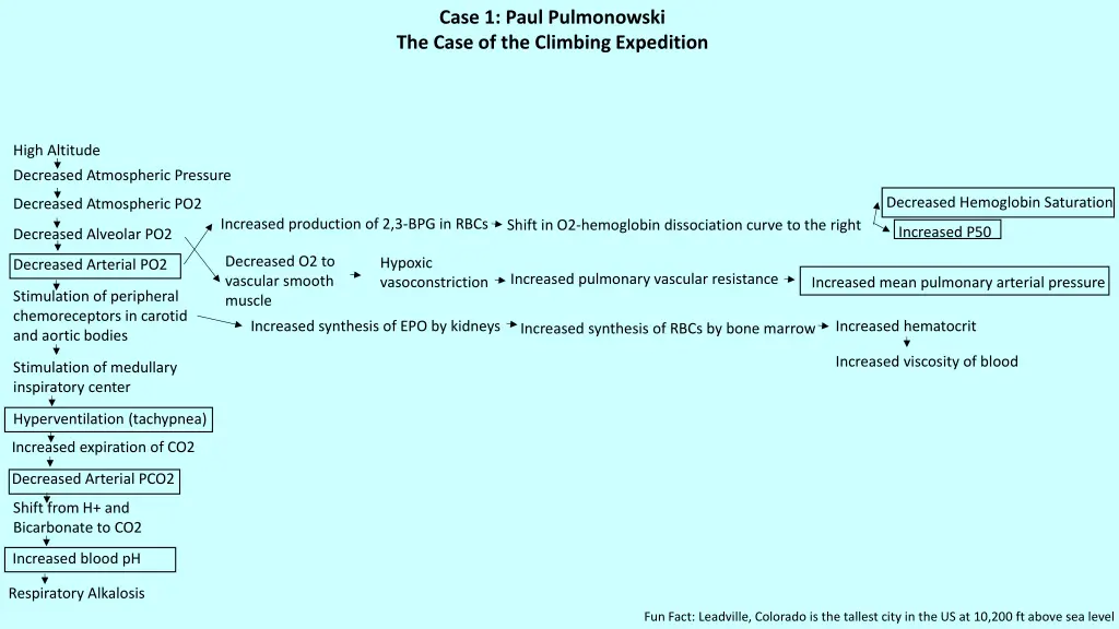 case 1 paul pulmonowski the case of the climbing