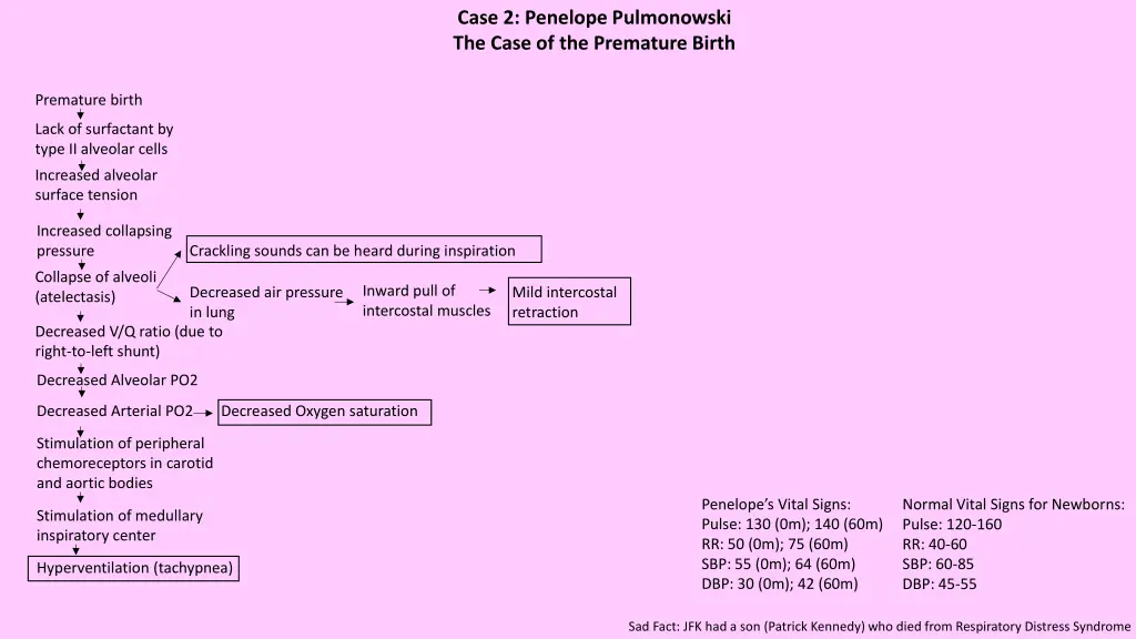 case 2 penelope pulmonowski the case