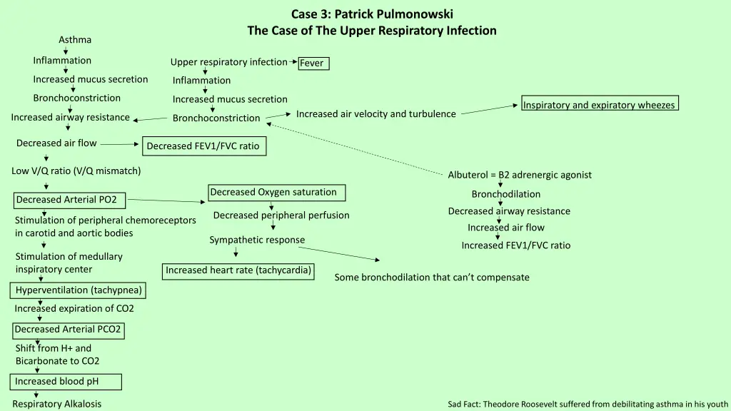 case 3 patrick pulmonowski the case of the upper