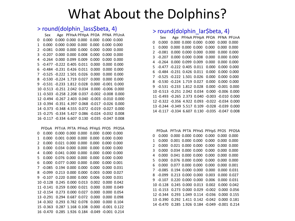 what about the dolphins