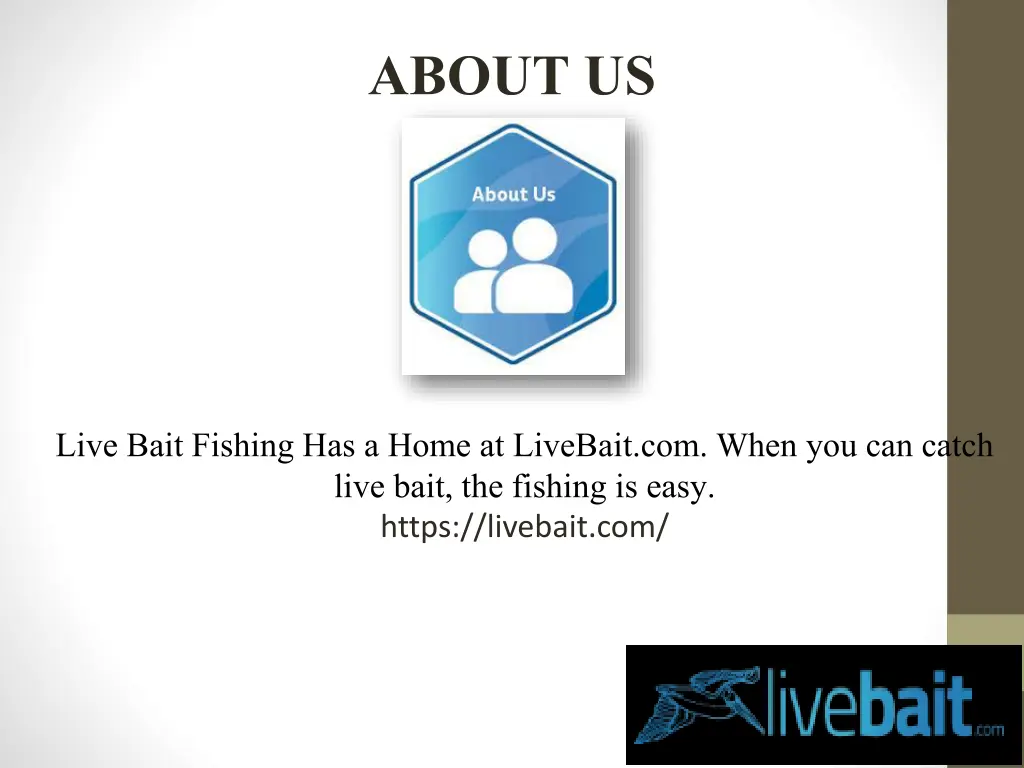 about us