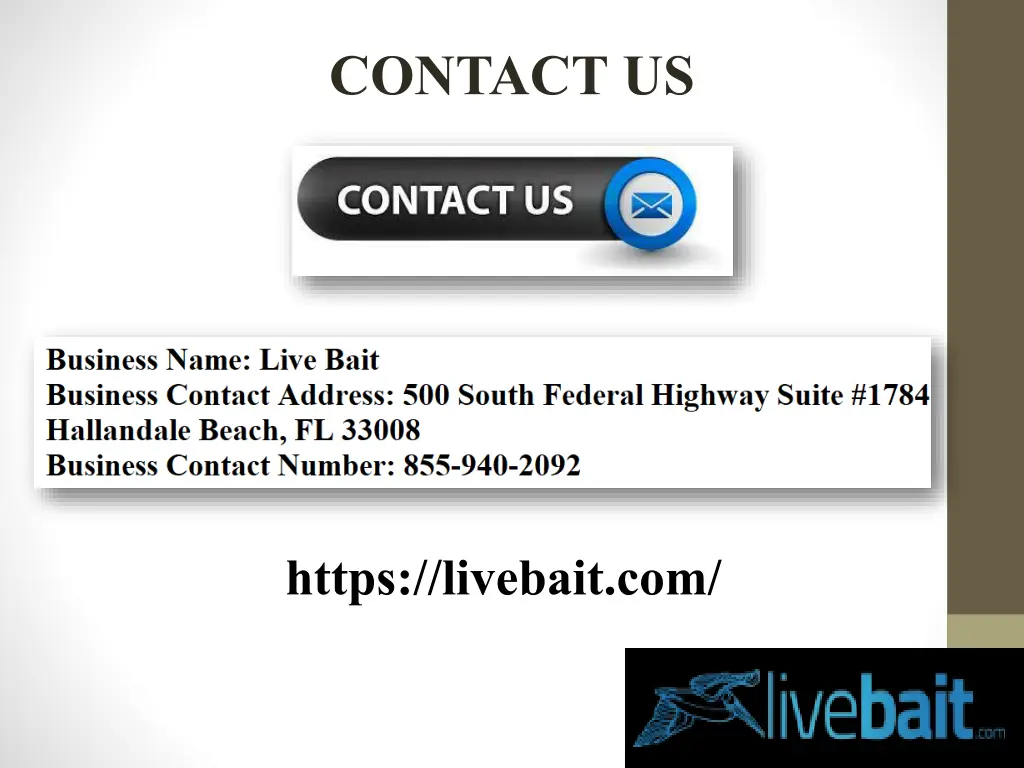 contact us