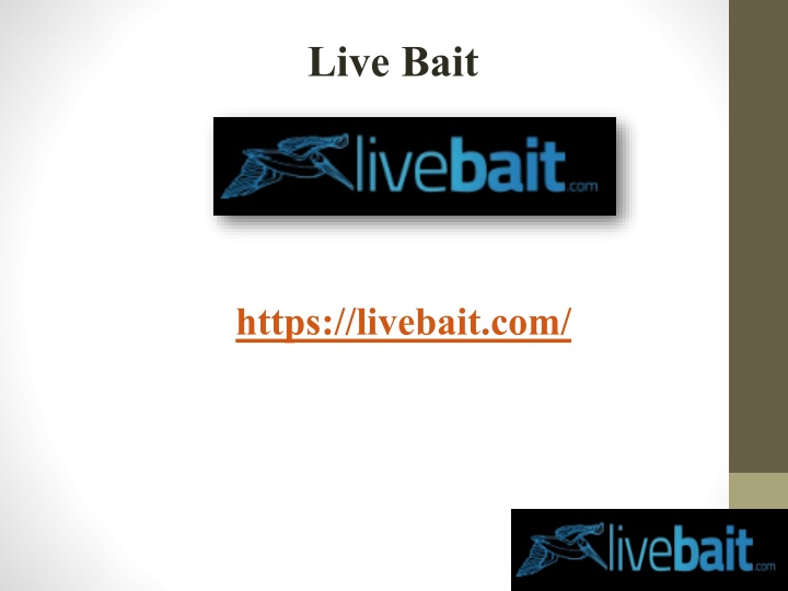 live bait