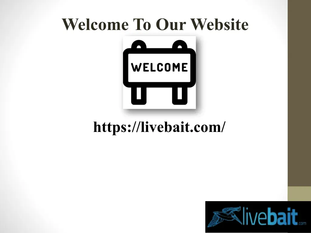 welcome to our website