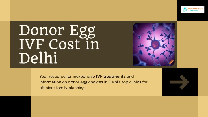 donor egg ivf cost in delhi