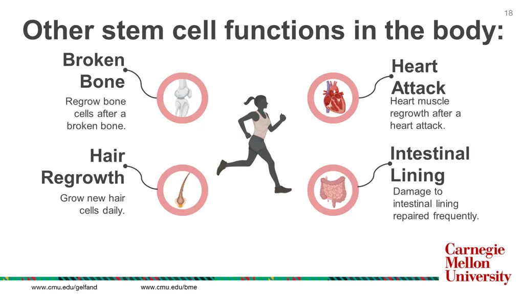 slide18