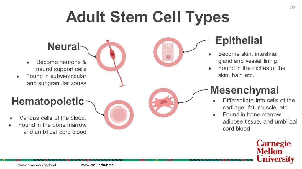 slide22