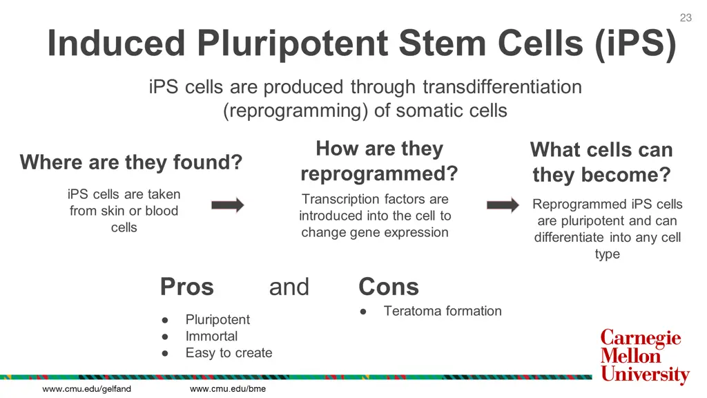 slide23