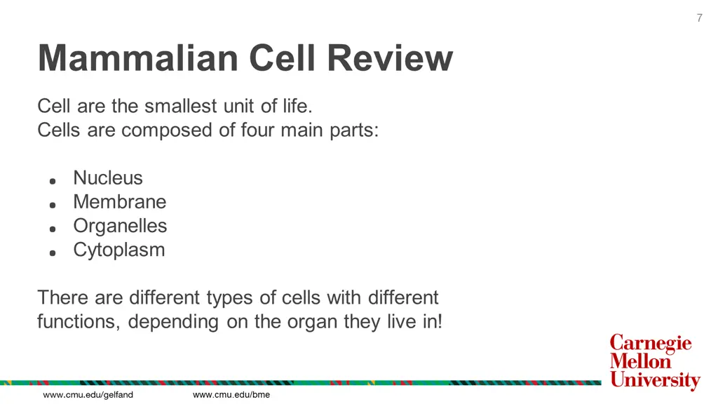 slide7