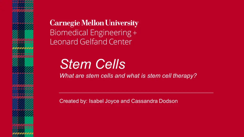 stem cells what are stem cells and what is stem