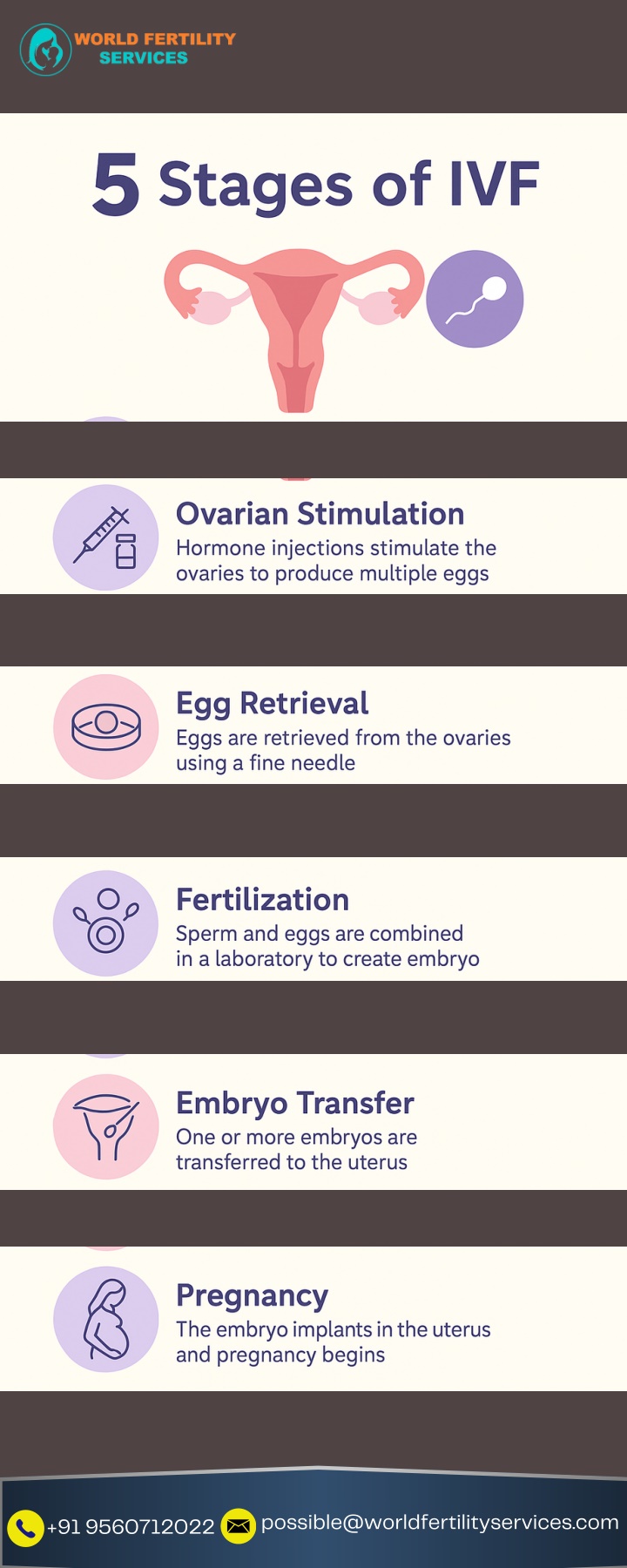 possible@worldfertilityservices com