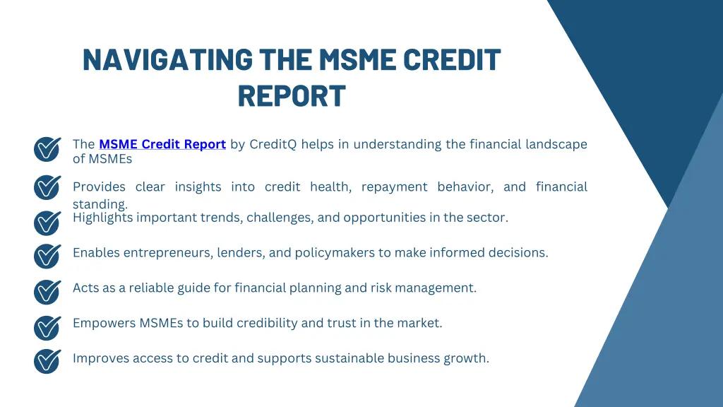 navigating the msme credit report