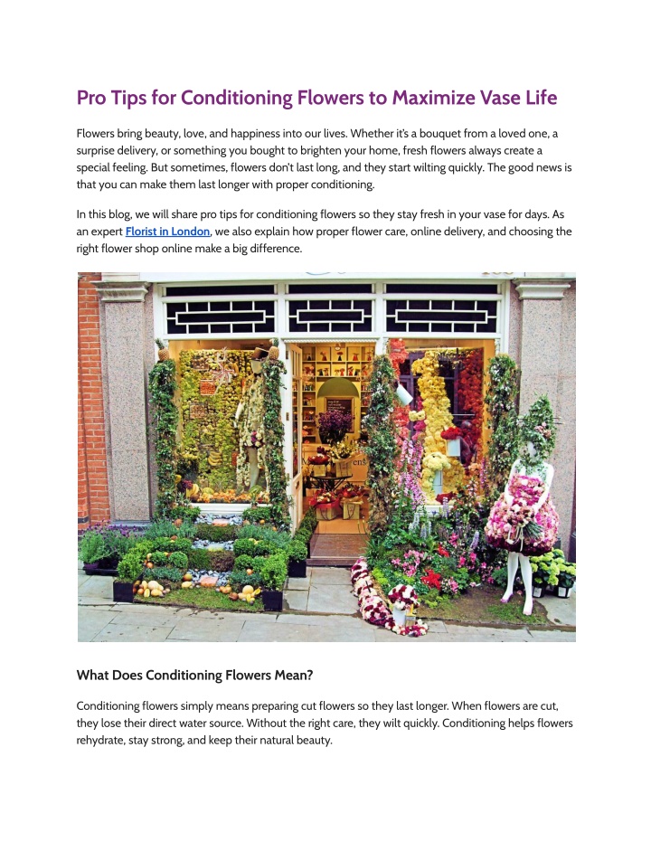 pro tips for conditioning flowers to maximize