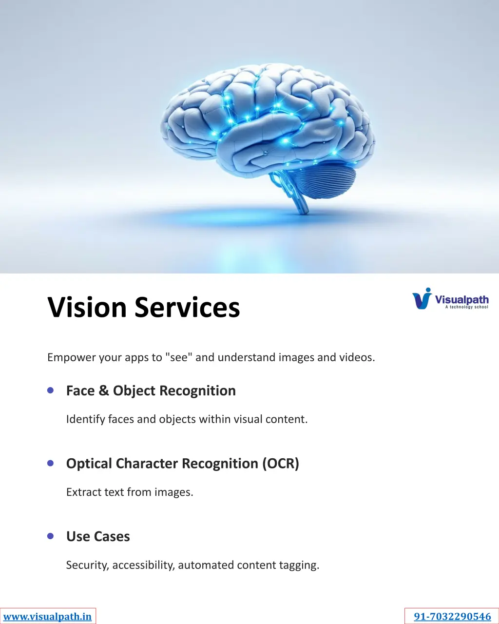 vision services