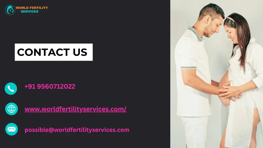 contact us