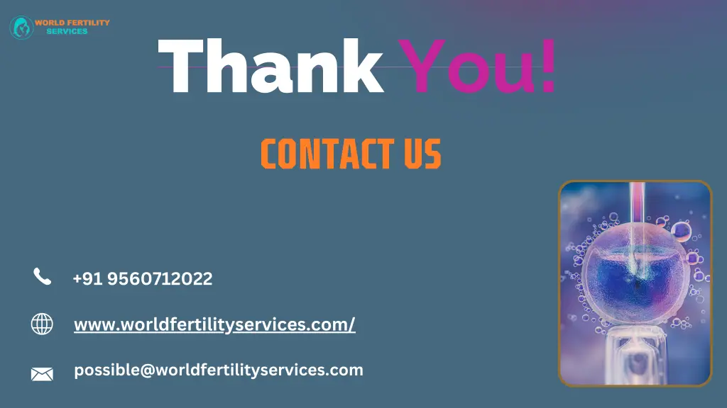 thank you contact us