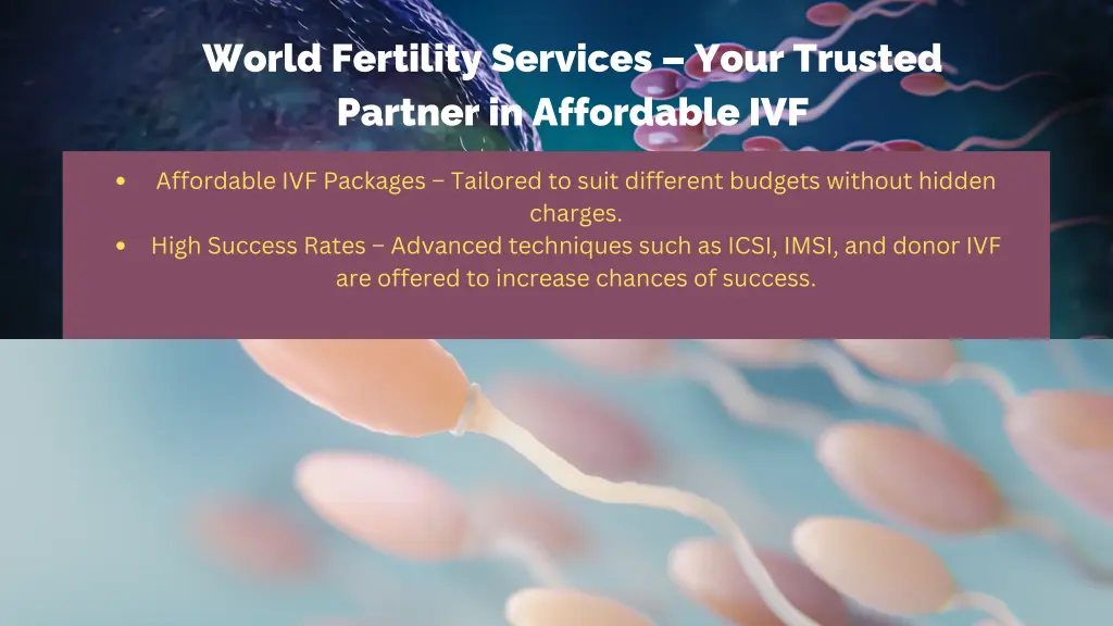 world fertility services your trusted partner