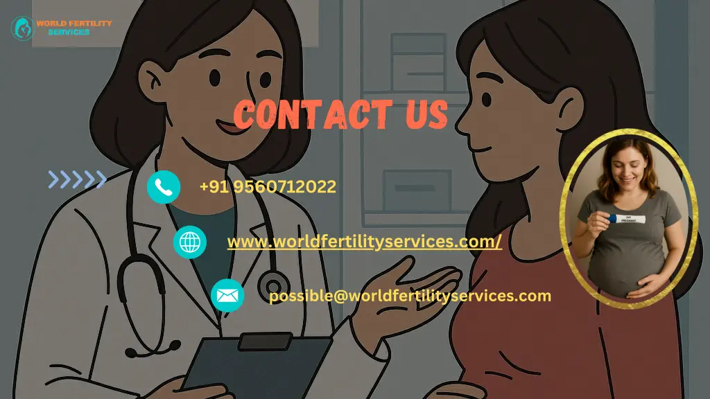 contact us