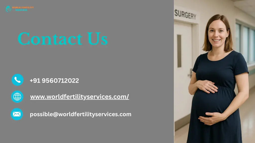 contact us