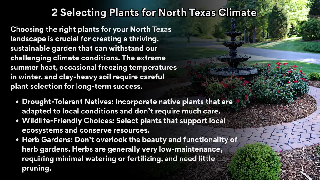 2 selecting plants for north texas climate