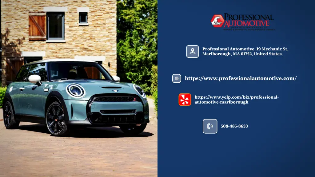 professional automotive 19 mechanic