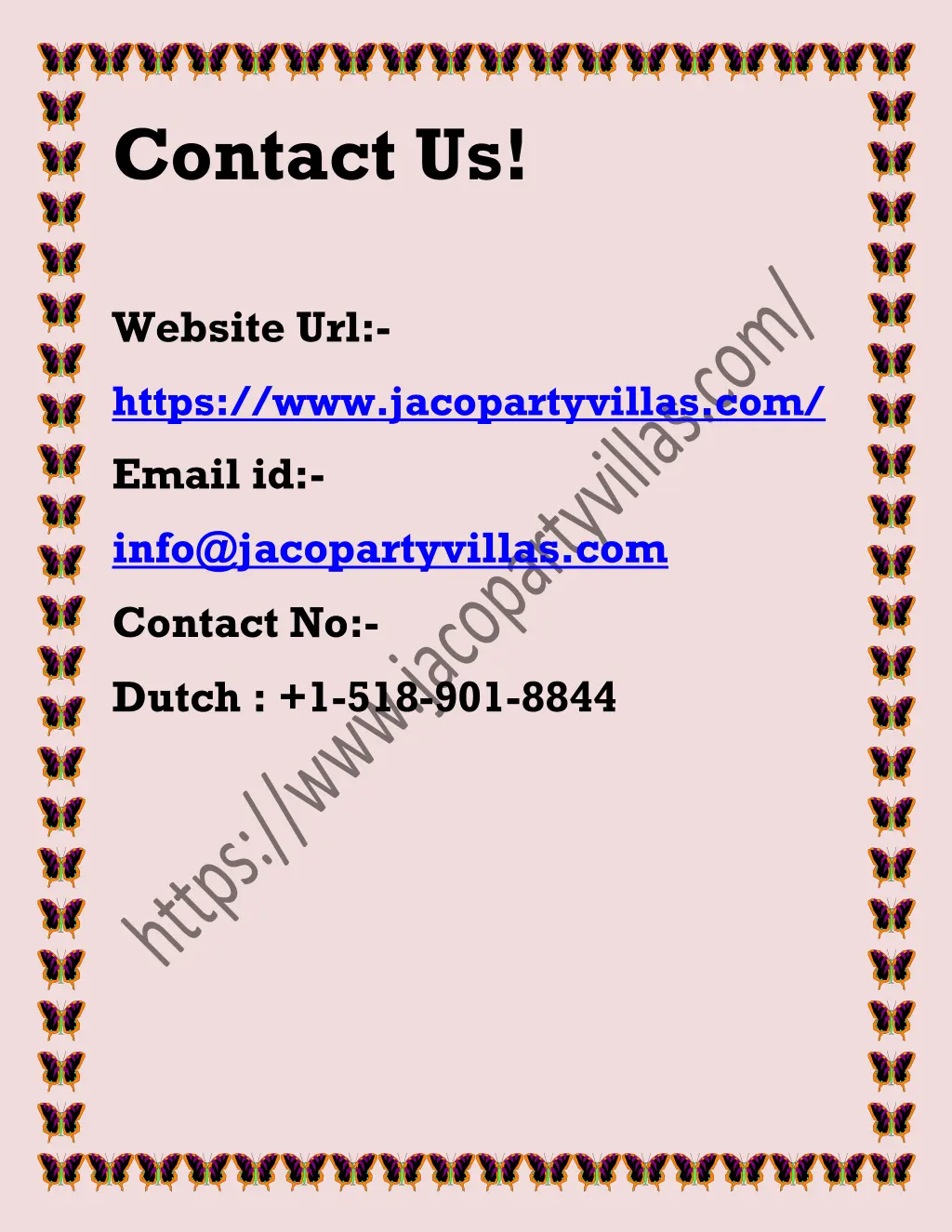 contact us