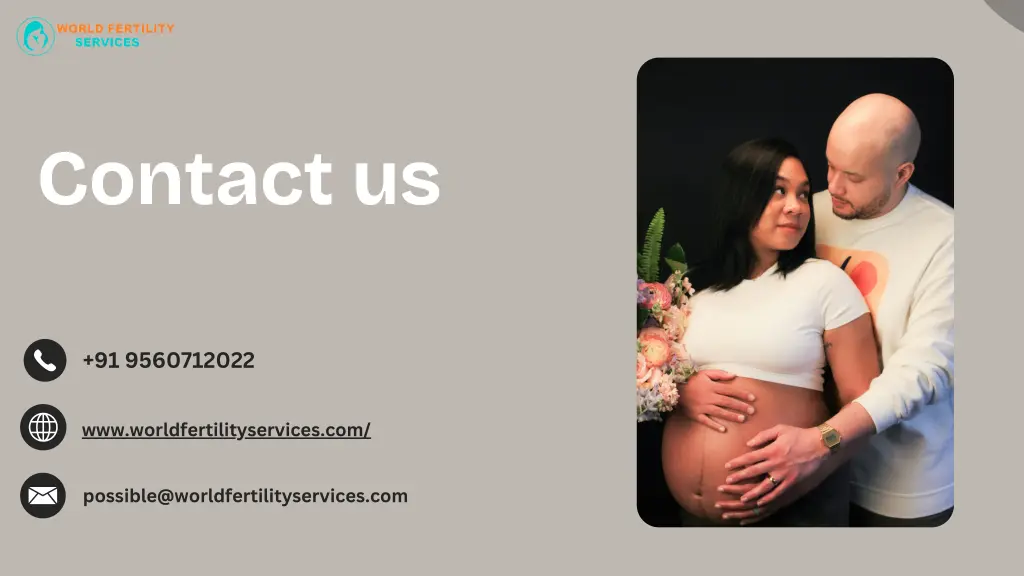 contact us