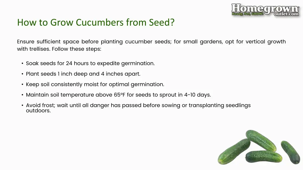 how to grow cucumbers from seed