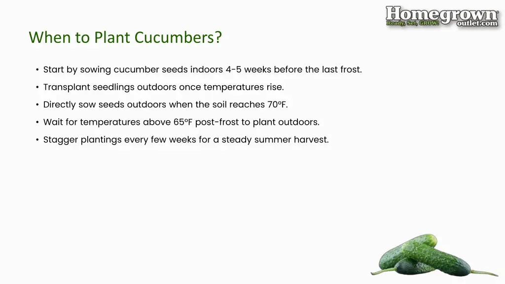 when to plant cucumbers