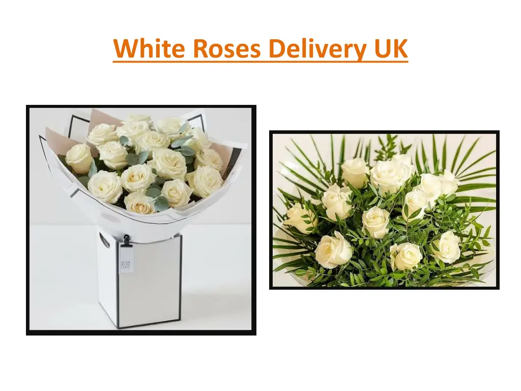 white roses delivery uk