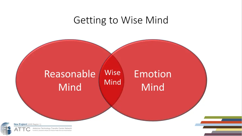 getting to wise mind