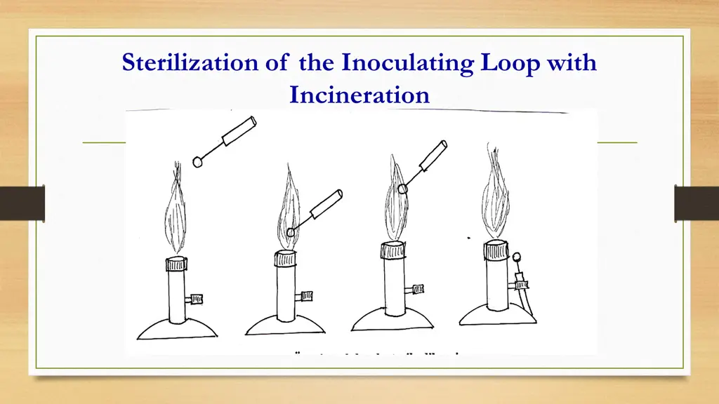 sterilization of the inoculating loop with