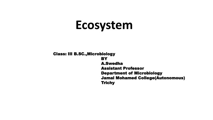 ecosystem