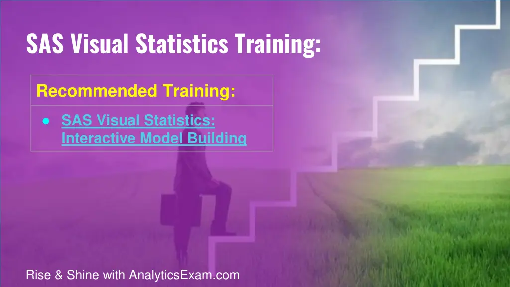 sas visual statistics training