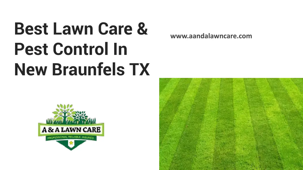 best lawn care pest control in new braunfels tx