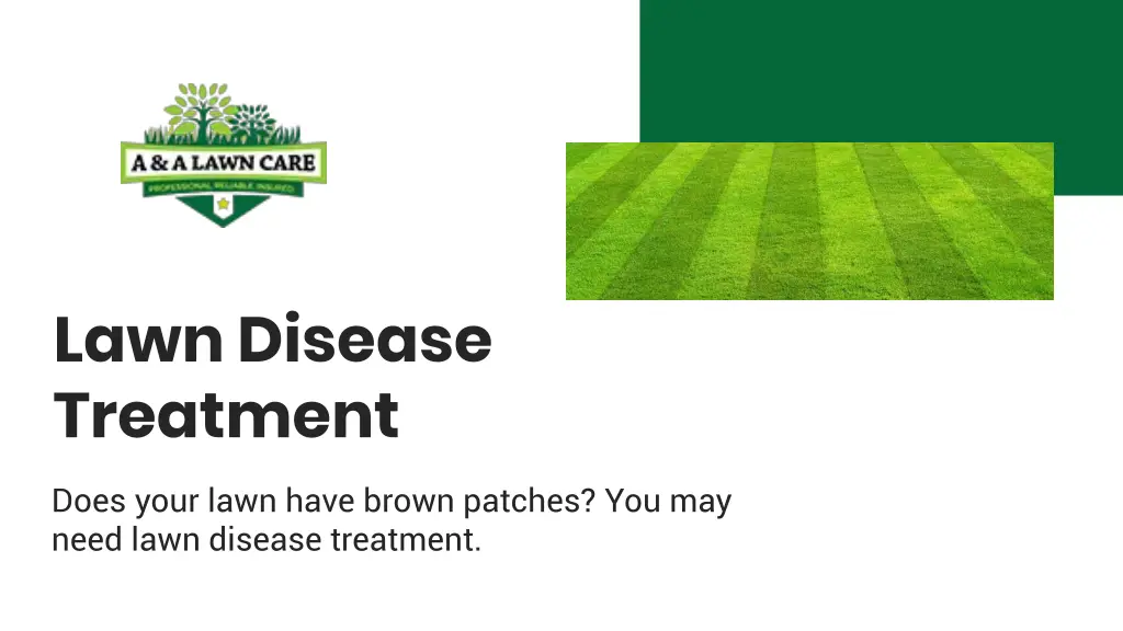 lawn disease treatment