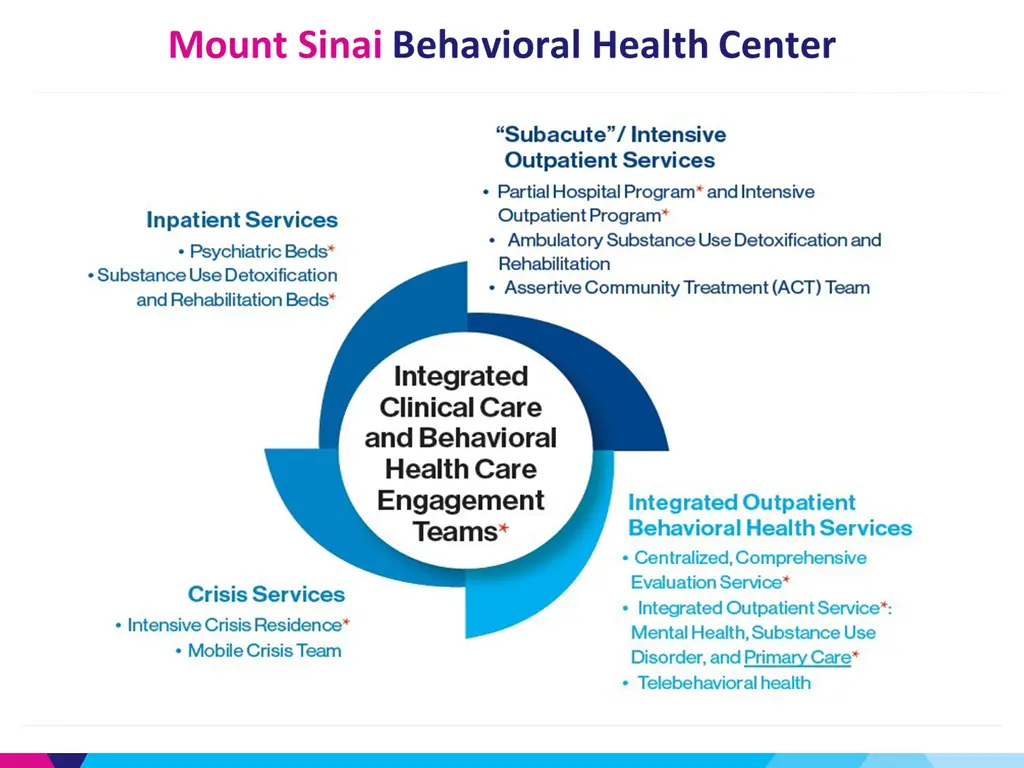 mount sinai behavioral health center