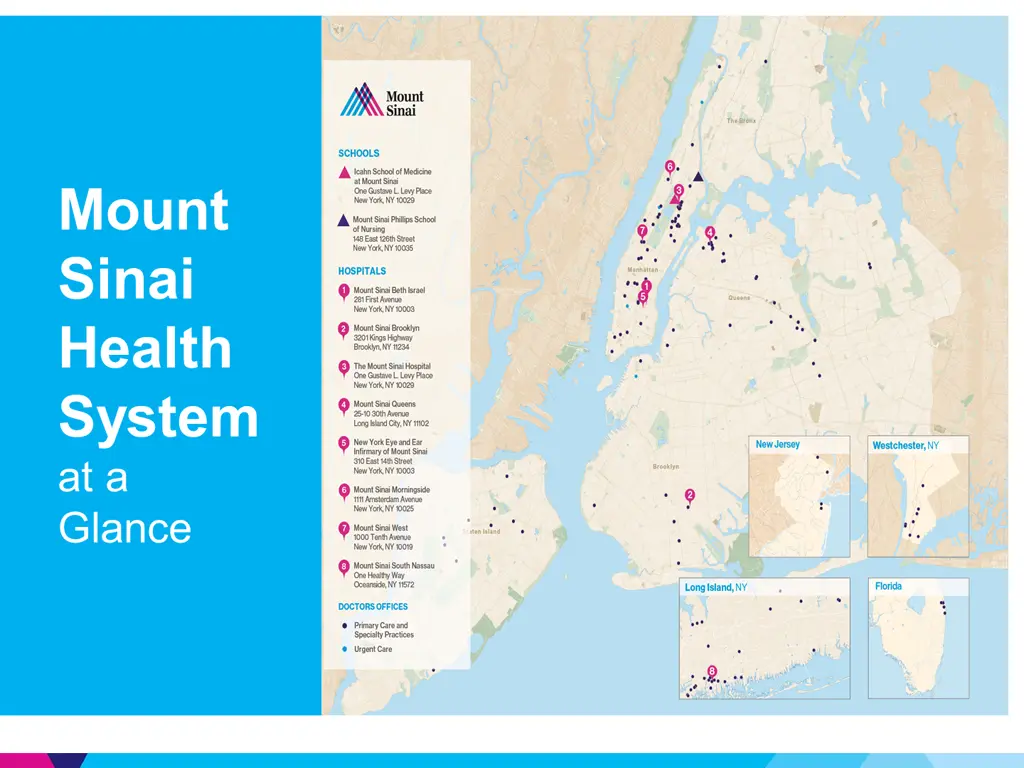 mount sinai health system at a glance