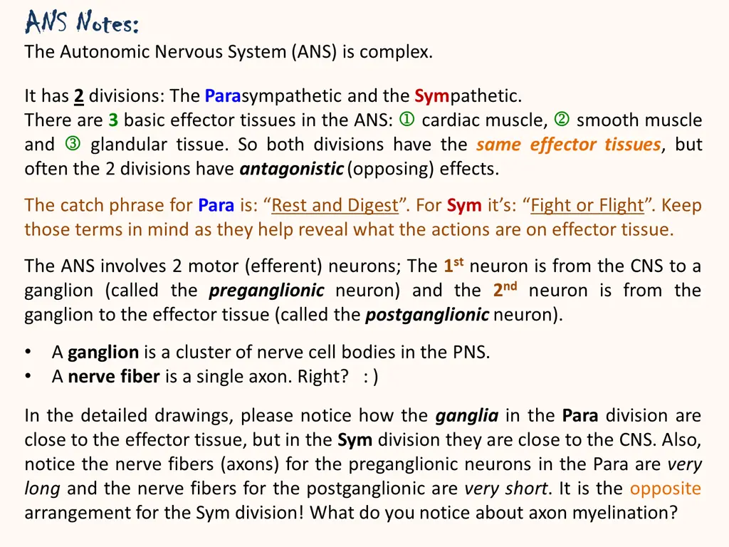 ans notes ans notes the autonomic nervous system