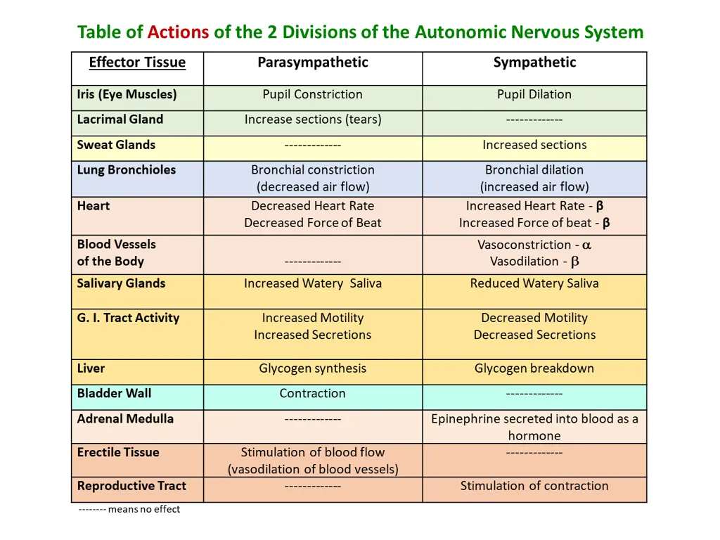 table of actions of the 2 divisions