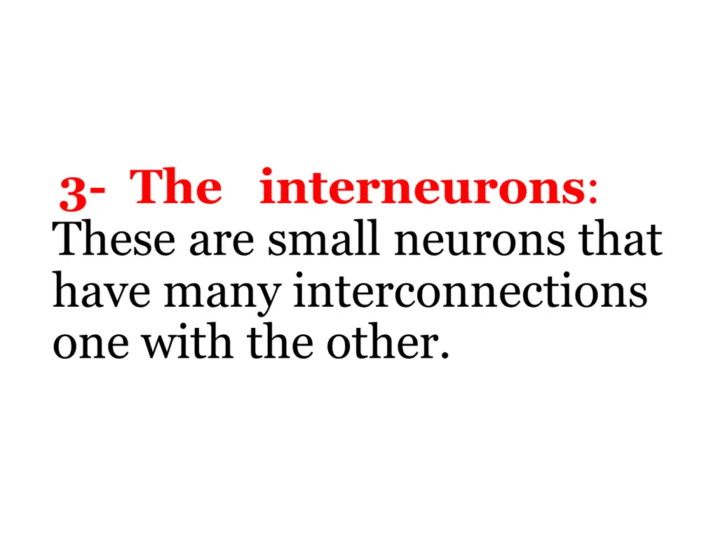 3 the interneurons these are small neurons that