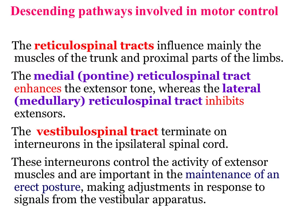 descending pathways involved in motor control